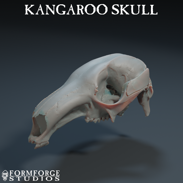 kangaskull720